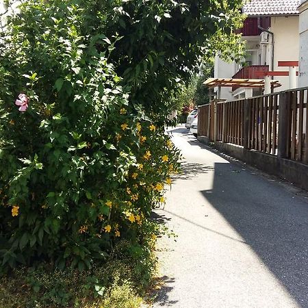 Sunflower Accommodation ليوبليانا المظهر الخارجي الصورة