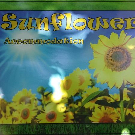 Sunflower Accommodation ليوبليانا المظهر الخارجي الصورة