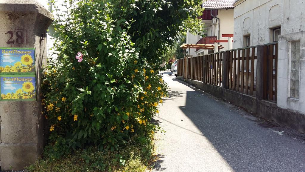 Sunflower Accommodation ليوبليانا المظهر الخارجي الصورة