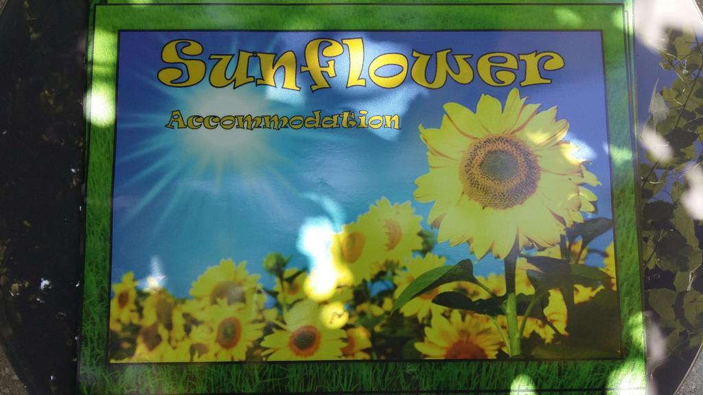 Sunflower Accommodation ليوبليانا المظهر الخارجي الصورة